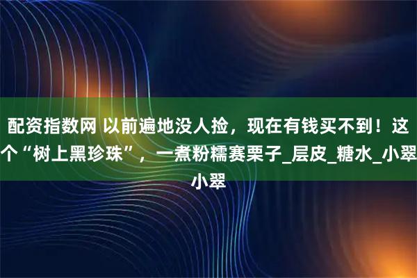 配资指数网 以前遍地没人捡，现在有钱买不到！这个“树上黑珍珠”，一煮粉糯赛栗子_层皮_糖水_小翠
